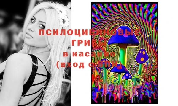 MDMA Premium VHQ Новокубанск