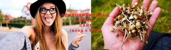 МДМА Новодвинск
