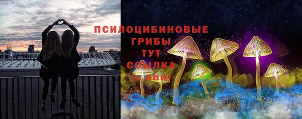 МДМА Новодвинск